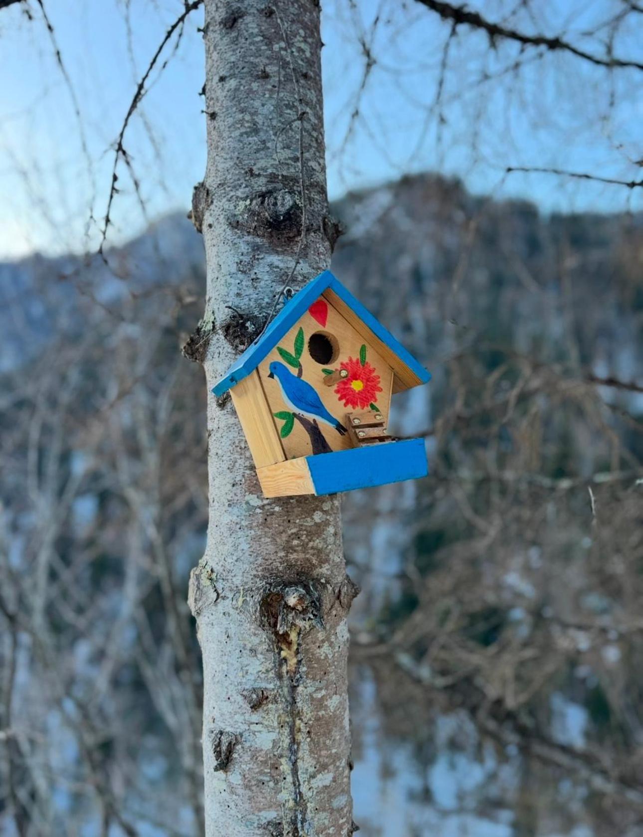 Sairme Glampings Hotel Екстериор снимка